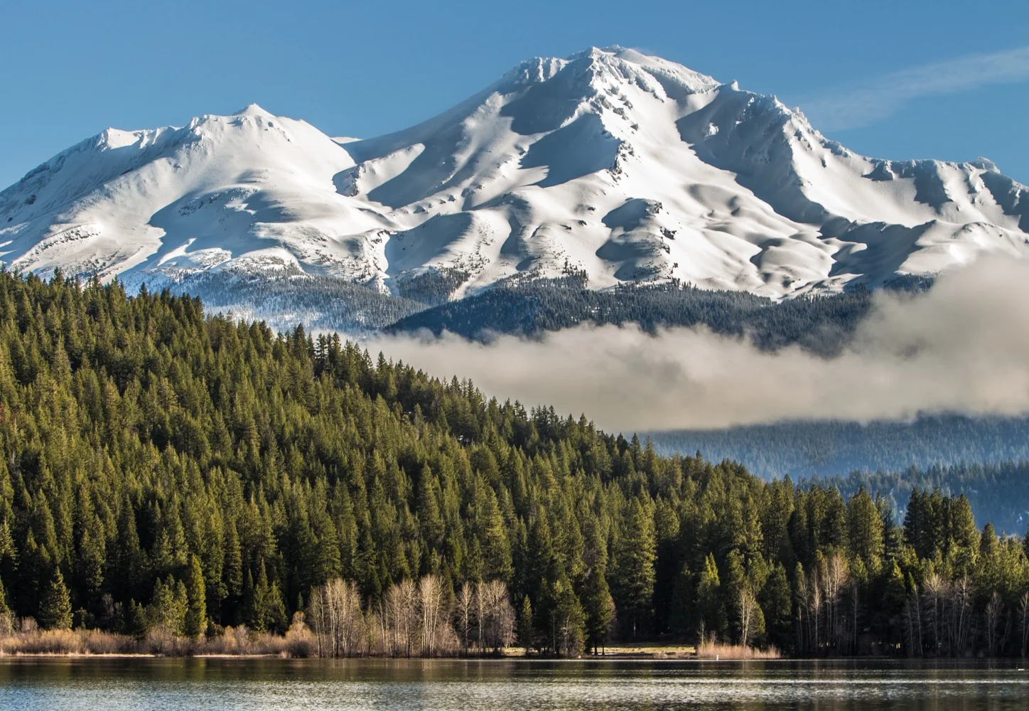 Mount Shasta