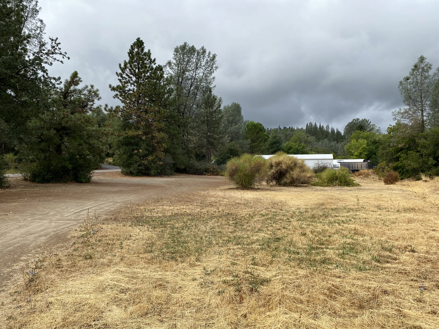 Commercial lot photograph 6
