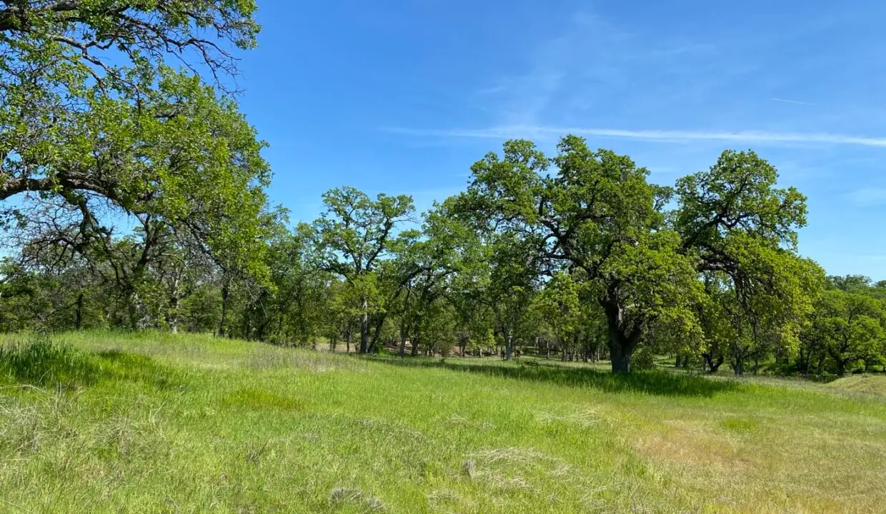 3.62-acre property photograph 1