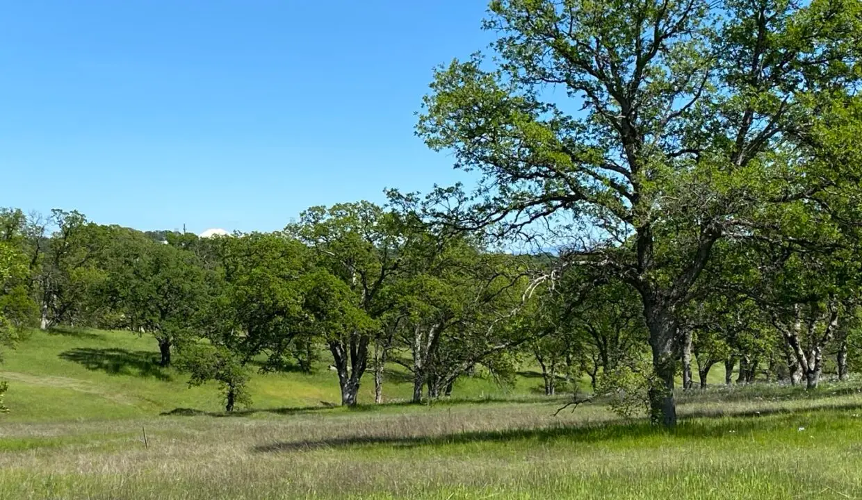 Northern California land