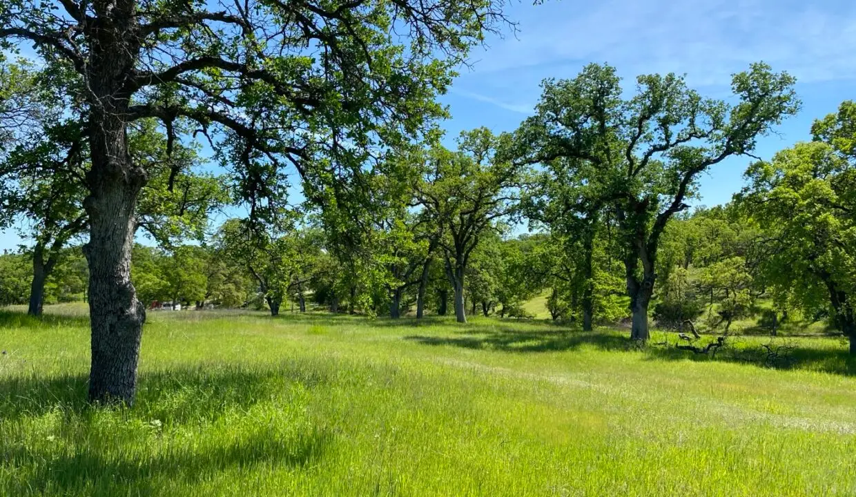 Oak-covered land in Rolling Oaks Estates