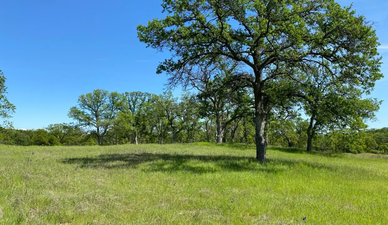 3.62-acre property photograph 7