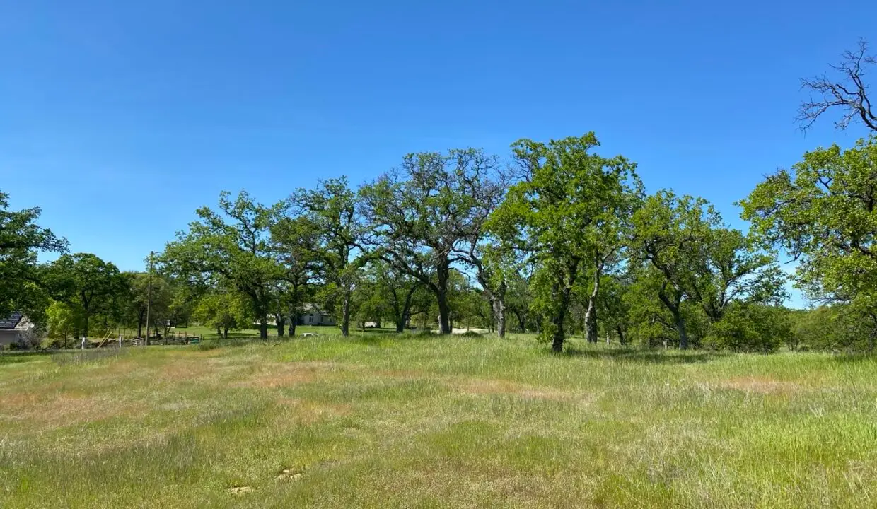 3.62-acre property photograph 9